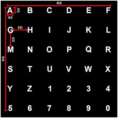 P300-Based Brain-Computer Interface Speller: Usability Evaluation of Three Speller Sizes by Severely Motor-Disabled Patients